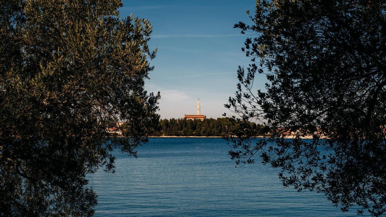 La Casa Isabella Διαμέρισμα Ρόβινι Εξωτερικό φωτογραφία