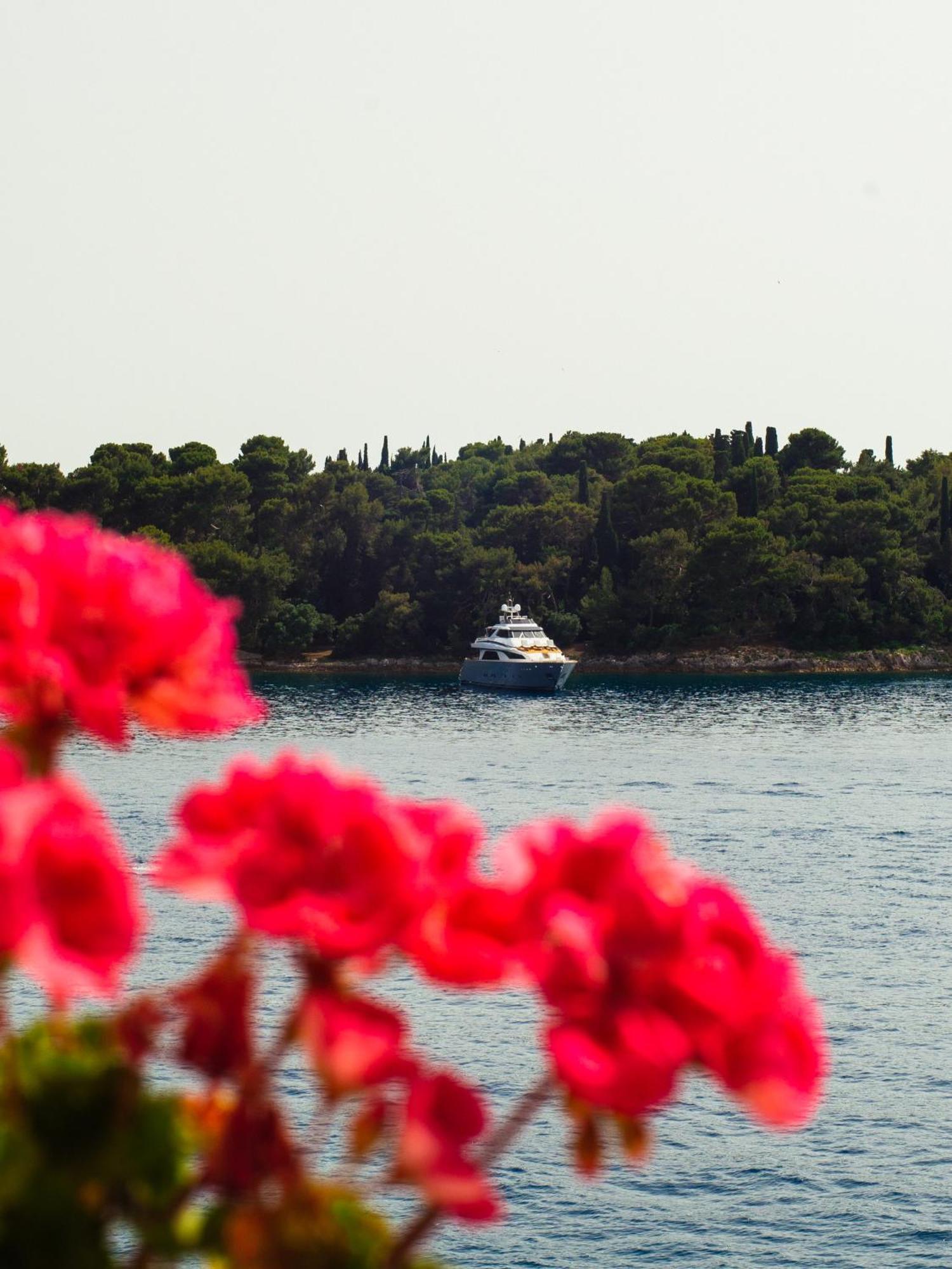 La Casa Isabella Διαμέρισμα Ρόβινι Εξωτερικό φωτογραφία